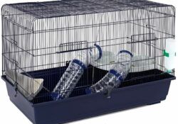 The best cage for a syrian hamster