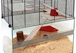 Big gerbil cage