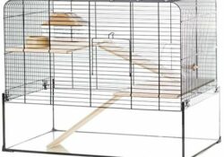 Cool gerbil cages